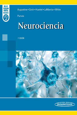 Purves Neurociencia