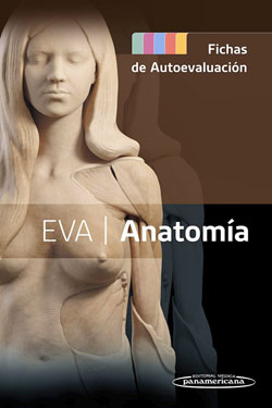EVA Anatomía