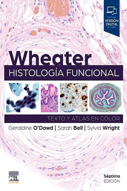 WHEATER Histología Funcional