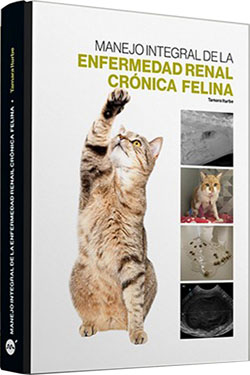 Manejo Integral de la Enfermedad Renal Crónica Felina