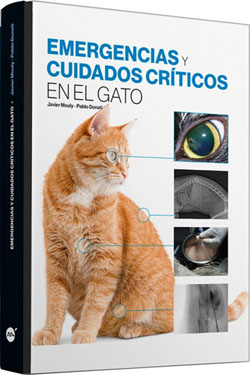 Emergencias y Cuidados Críticos en el Gato